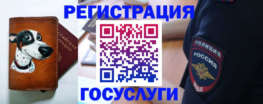 временная регистрация в квартире в Змеиногорске